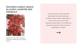 Festői Utcák - Egyszerű Webhelytervezés