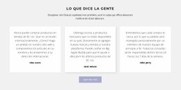 El Mejor Diseño De Sitio Web Para Tres Cuadros De Texto Con Sombra