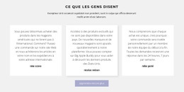 La Meilleure Conception De Site Web Pour Trois Zones De Texte Avec Ombre