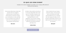 Trois Zones De Texte Avec Ombre - Créateur De Sites Web Créatifs Et Polyvalents