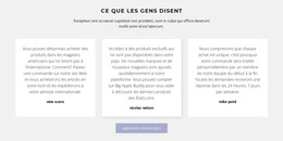 Trois Zones De Texte Avec Ombre - Modèle HTML5