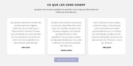 Trois Zones De Texte Avec Ombre - Modèle HTML5 Professionnel Personnalisable