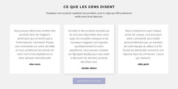 Trois Zones De Texte Avec Ombre : Modèle De Site Web Simple