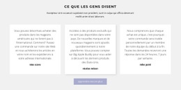 Trois Zones De Texte Avec Ombre – Page De Destination Facile À Utiliser