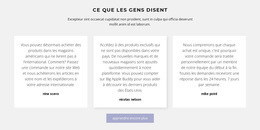 Thème WordPress Polyvalent Pour Trois Zones De Texte Avec Ombre