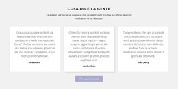 Tre Caselle Di Testo Con Ombra Modello Di Sito Web