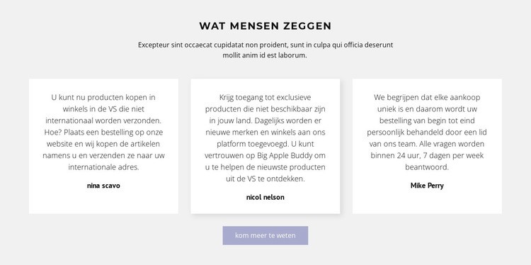 Drie tekstvakken met schaduw Website mockup