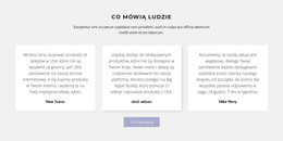 Uniwersalny Motyw WordPress Dla Trzy Pola Tekstowe Z Cieniem