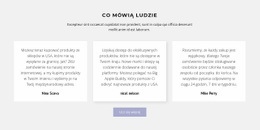 Trzy Pola Tekstowe Z Cieniem - Szablony Online