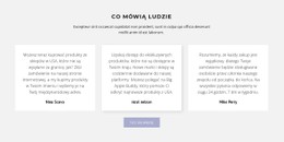 Szablon Premium Trzy Pola Tekstowe Z Cieniem