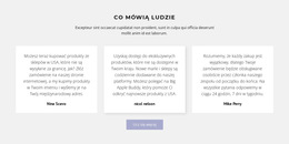 Niestandardowe Czcionki, Kolory I Grafika Dla Trzy Pola Tekstowe Z Cieniem