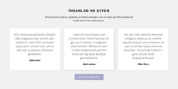 Gölgeli Üç Metin Kutusu - HTML5 Şablonu