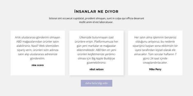 Gölgeli üç metin kutusu Web Sitesi Mockup'ı