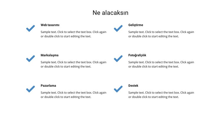 Ne alacaksın Web sitesi tasarımı