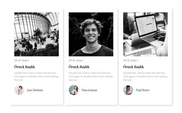 Şirket Hakkında Yorumlar - Harika WordPress Teması