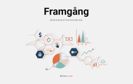 Webbsida För Framgångshistorier