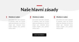 Bezplatná Online Šablona Pro Naše Hlavní Zásady
