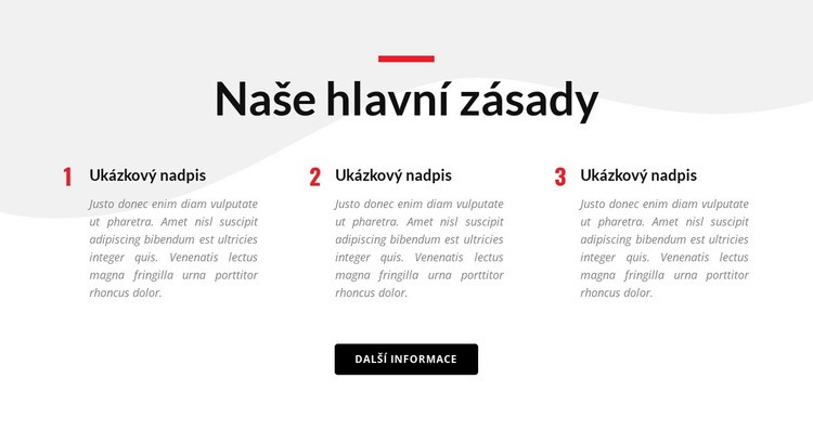 Naše hlavní zásady Šablona