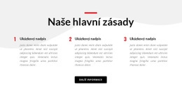 Naše Hlavní Zásady – Šablona Vstupní Stránky