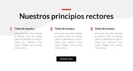 Nuestros Principios Rectores - Creador De Sitios Web Sencillo