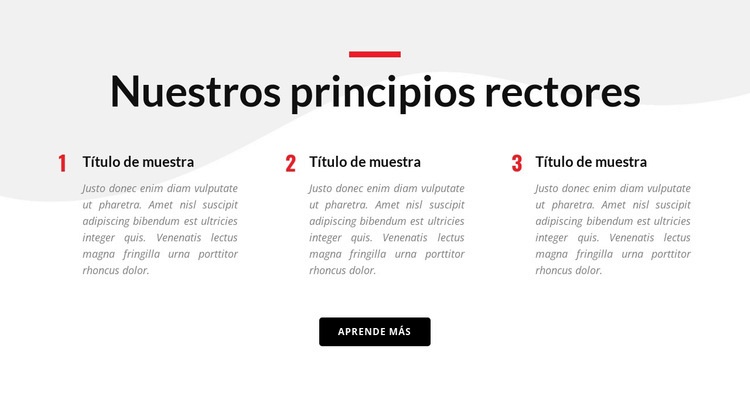 Nuestros principios rectores Maqueta de sitio web