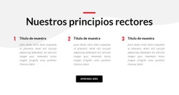 Nuestros Principios Rectores Plantilla CSS Básica