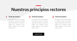 Nuestros Principios Rectores: Diseño Del Sitio Web HTML