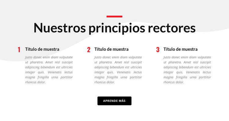 Nuestros principios rectores Plantilla HTML