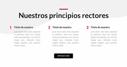 Nuestros Principios Rectores - Plantilla Joomla Personalizada