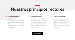 Nuestros Principios Rectores - Tema De Funcionalidad De WordPress