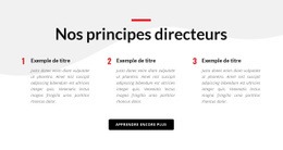 Nos Principes Directeurs - Conception De Sites Web Gratuite