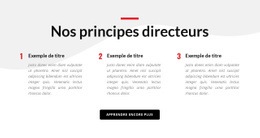 Nos Principes Directeurs - HTML Website Maker