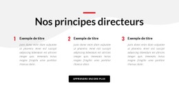 Nos Principes Directeurs Modèle CSS De Base