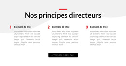 Nos Principes Directeurs – Mise En Page HTML Du Site Web