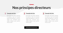 Nos Principes Directeurs - Modèle Joomla Personnalisé