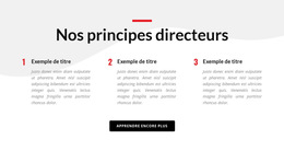 Nos Principes Directeurs - Modèle De Page De Destination