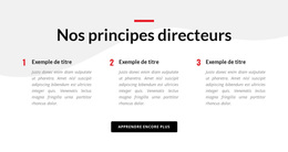 Nos Principes Directeurs - Fonctionnalité Thème WordPress