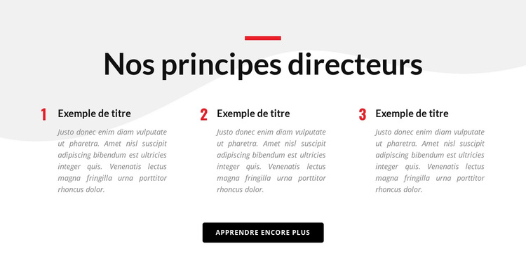 Nos principes directeurs Thème WordPress