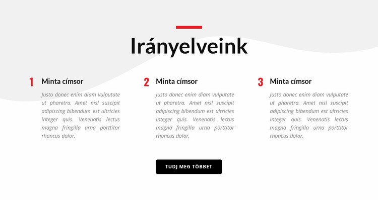 Vezető elveink Weboldal sablon