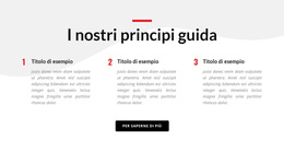 I Nostri Principi Guida - Funzionalità Tema WordPress