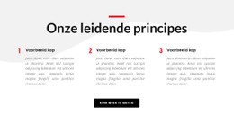 Onze Leidende Principes Basis CSS-Sjabloon