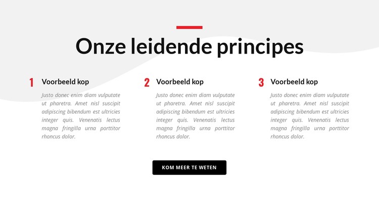 Onze leidende principes CSS-sjabloon