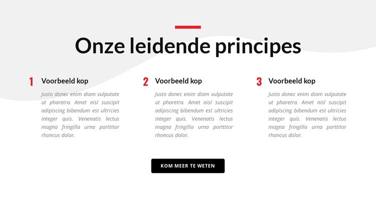 Onze leidende principes Website mockup