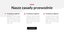 Nasze Zasady Przewodnie Podstawowy Szablon CSS