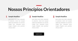 Nossos Princípios Orientadores - HTML Website Maker