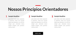 Nossos Princípios Orientadores - Layout Do Site HTML