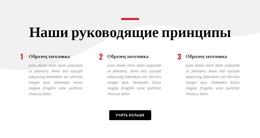 Наши Руководящие Принципы — Функциональность Темы WordPress