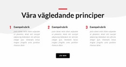 Våra Vägledande Principer - Målsidesmall