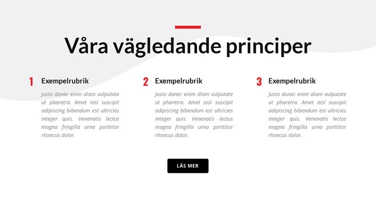 Våra vägledande principer Webbplats mall
