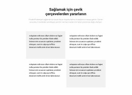 Dört Metin Bloğu Ve Bir Başlık - Çok Amaçlı Web Tasarımı